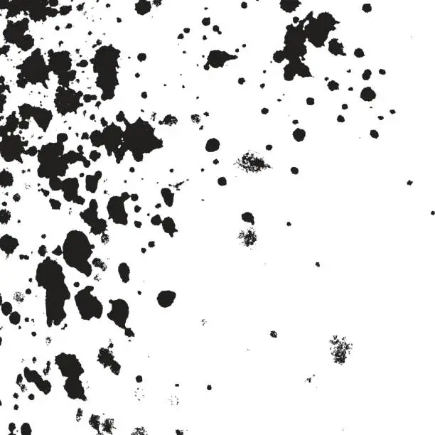 Vector illustration of Black Ink paint splatter on white background. Spray paint abstra