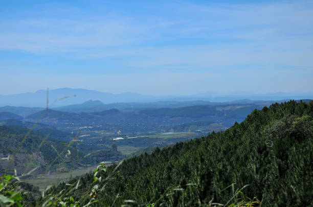 Dalat highland, Lam Dong, Vietnam Dalat in southern Vietnam’s Central Highlands, is centered around a lake and golf course, and surrounded by hills, pine forests, lakes and waterfalls. fang xiang stock pictures, royalty-free photos & images
