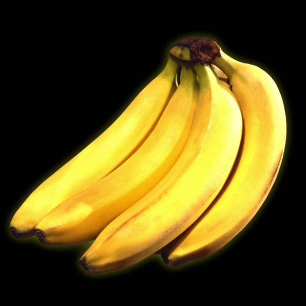 istock Bunch ripe yellow bananas, in front of a black background. 677442908