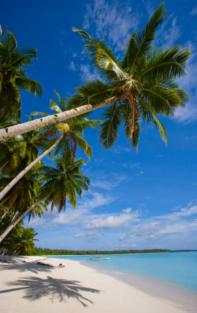 istock The beach on the tropical island. 677444522