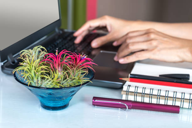 istock Flower vase on work table with hands working on laptop background / business & home decoration conceptual 677449066