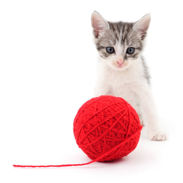 gattino con palla di filato. - yarn ball foto e immagini stock