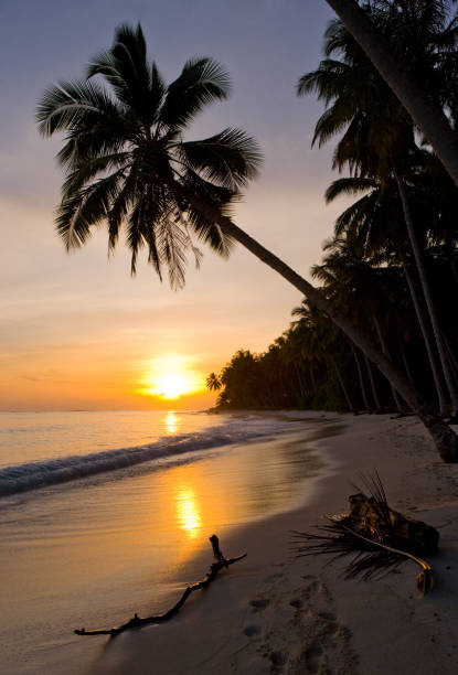 istock The beach on the tropical island. Dawn. 677461052