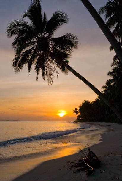istock The beach on the tropical island. Dawn. 677462834