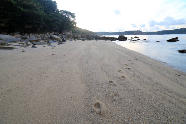 istock Ao Sen beach Phuket Thailand 677481910