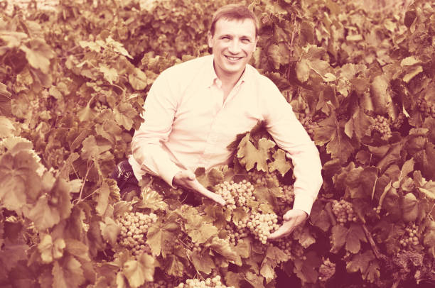 istock farmer near grapes in vineyard 677481990