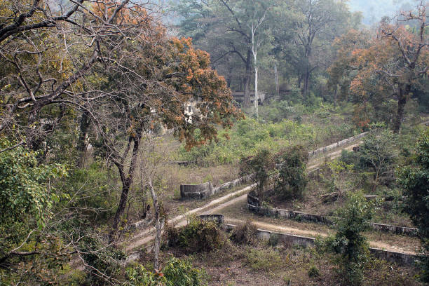 Ruins in the Beatles ashram in Rishikesh, Uttarakhand, India