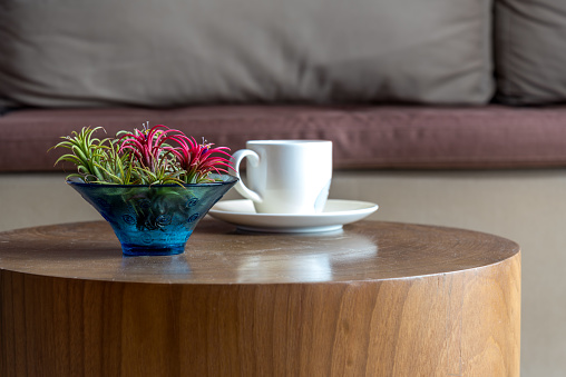 Flower vase of Bromeliad plants & coffee cup on wooden table with couch background / lifestlye & modern home interior decoration conceptual