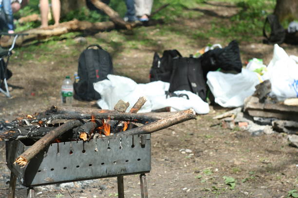 istock Barbecue on the bonfire in the forest 677510362
