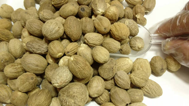 Nutmeg stock photo