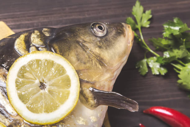 istock Mirror carp river fish with lemon, herbs and pepper on dark wooden table 677543894