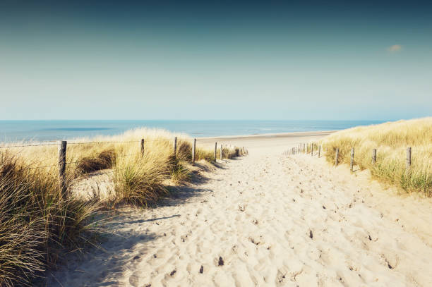 istock Sandy dunes on the sea coast 677607564