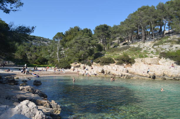 istock Calanques N.P. - Calanque de Port-Pin 677611790
