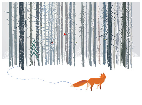 Winter forest and Fox.