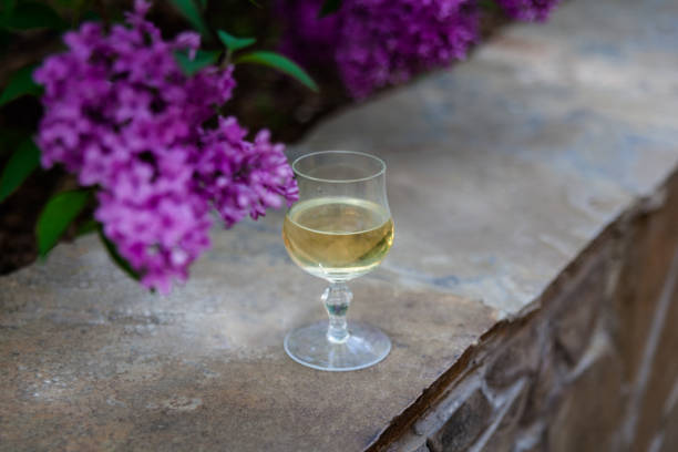istock Lilac and a glass of wine 677699762