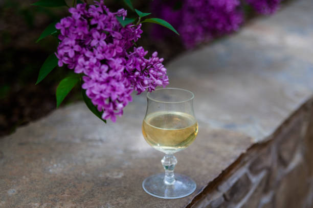 istock Lilac and a glass of wine 677699790