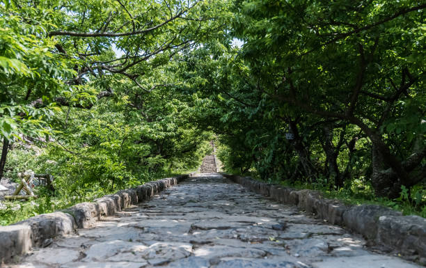 istock Tunnel of tree cover stone path 677708972