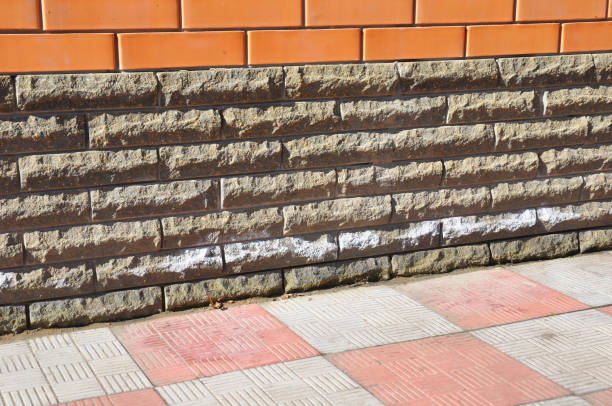 Mineral Efflorescence. Efflorescence mean as an indicator of moisture problems in house buildings. White efflorescence salts. Efflorescence, causes, problems and solutions