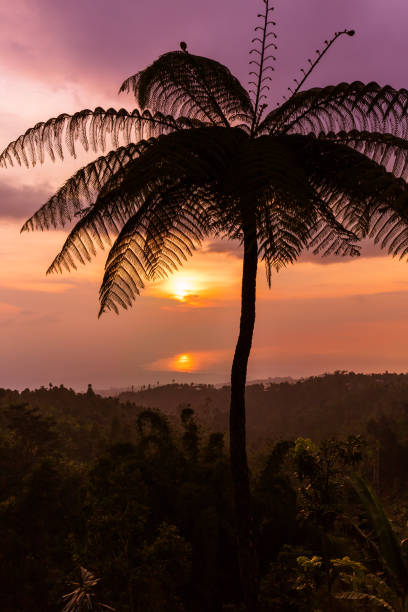 istock Sunset in Bali island Indonesia 677725596