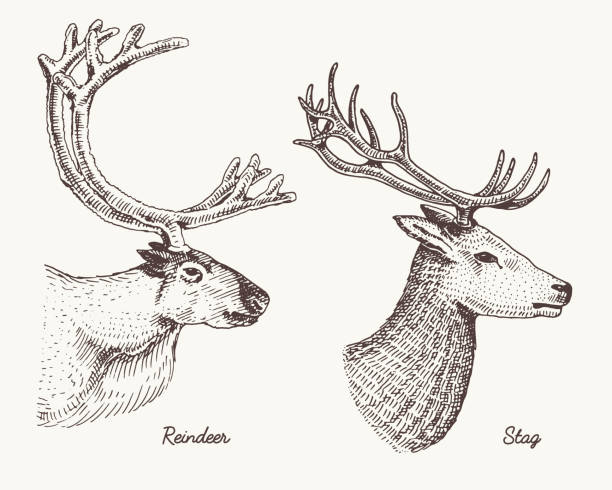トナカイ　動物　アクリル画　絵画 手描きのトナカイのタイル絵 | tsuitachi craft&brocante