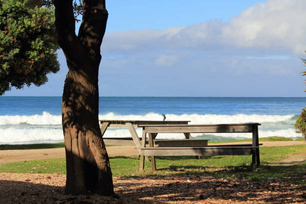 istock wooden bench by the beach 677737132