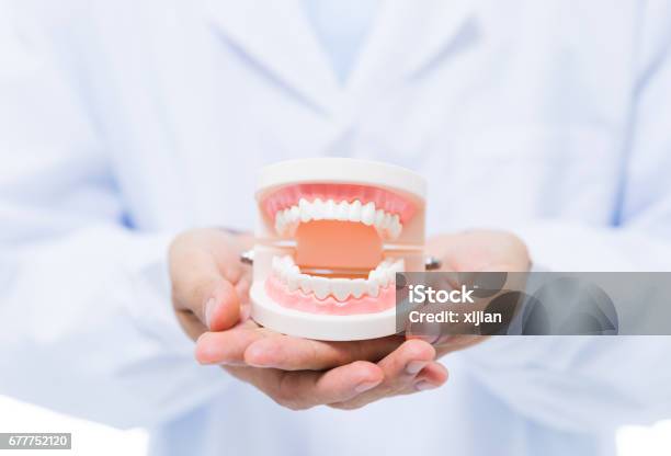 Photo libre de droit de Prothèse Dexploitation Dentiste banque d'images et plus d'images libres de droit de Dentier - Dentier, Hygiène dentaire, Équipement dentaire