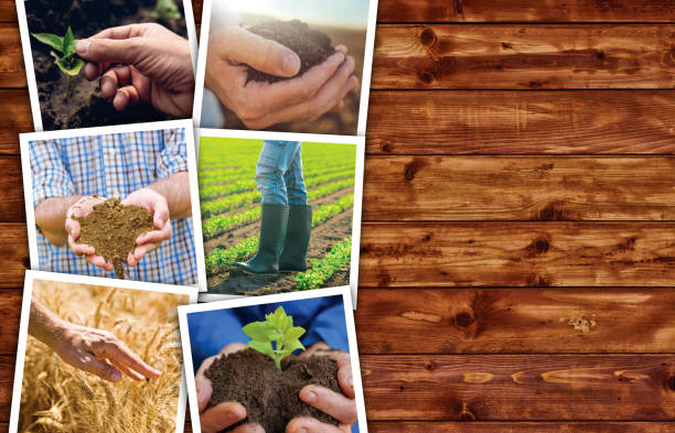 istock Agriculture themed photo collage with copy space 677760976