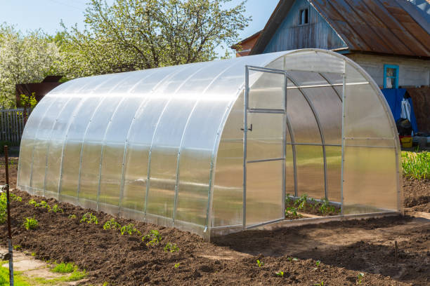 istock Greenhouse polycarbonate is in the garden 677775246