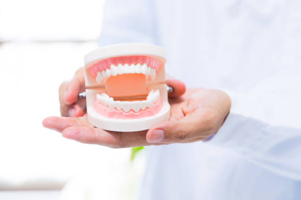istock Doctor holding tooth model 677777630
