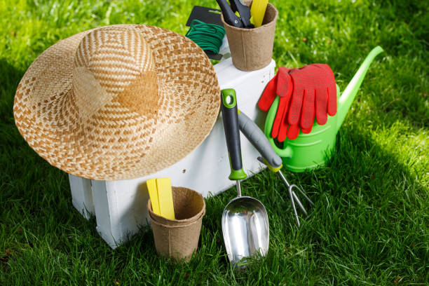 istock Gardening tools and a straw hat on the grass in the garden. 677787616