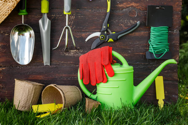 istock Gardening tools and a straw hat on the grass in the garden. 677801954