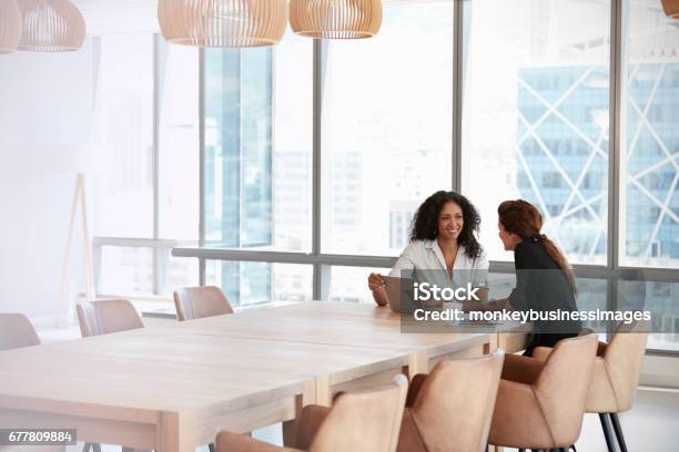 회의실 회의에서 노트북을 사용하는 두 명의 비즈니스 우먼 모임에 대한 스톡 사진 및 기타 이미지 - 모임, 2명, 토론