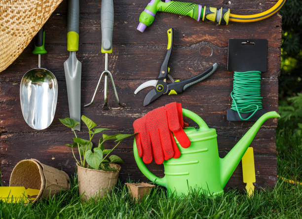 istock Gardening tools and a straw hat on the grass in the garden. 677810356