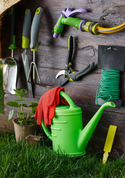istock Gardening tools and equipment closeup in the backyard. 677812790