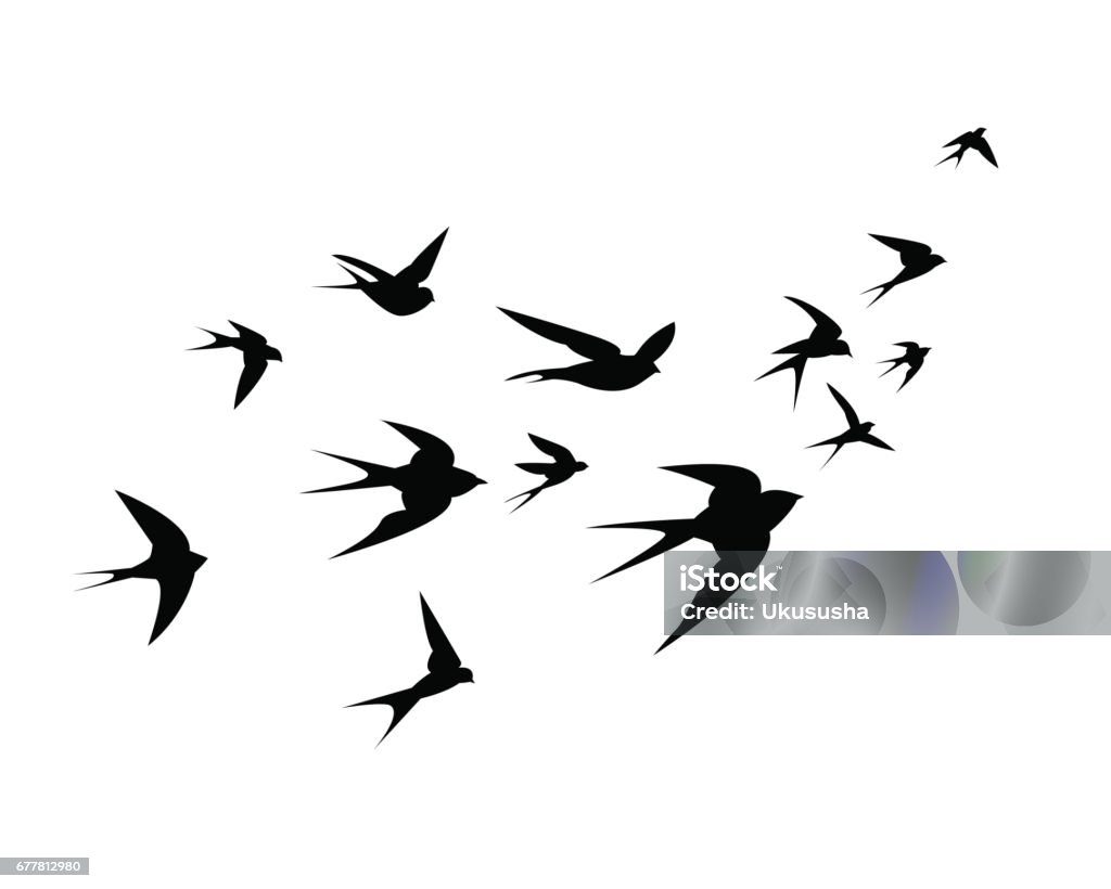 Un troupeau d’oiseaux d’Hirondelle Monte - clipart vectoriel de Hirondelle libre de droits