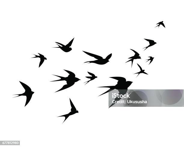 ツバメの群れが上がる - ツバメのベクターアート素材や画像を多数ご用意 - ツバメ, 鳥, シルエット