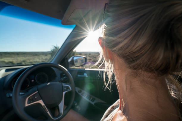 istock Girl on self drive safari 677813262