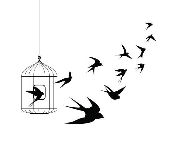 燕子從籠子裡飛出來的鳥 - 鳥籠 幅插畫檔、美工圖案、卡通及圖標