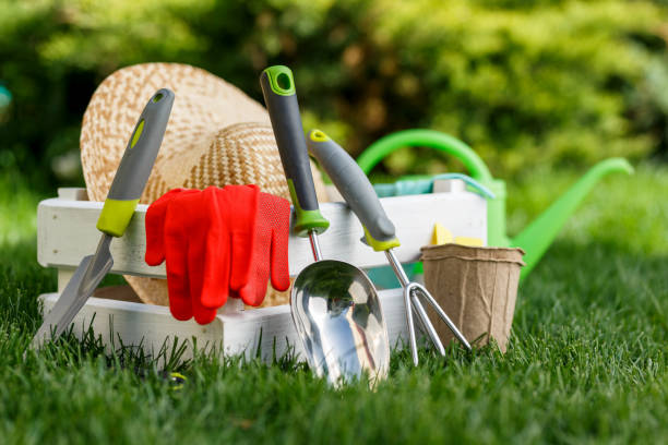 istock Gardening tools and a straw hat on the grass in the garden. 677824290