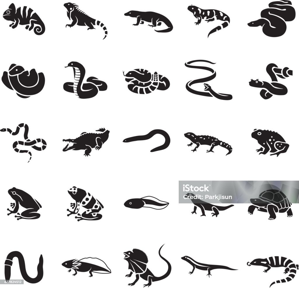 Reptiles & Amphibians vector icons 25 Reptiles & Amphibians glyph vector icons Iguana stock vector