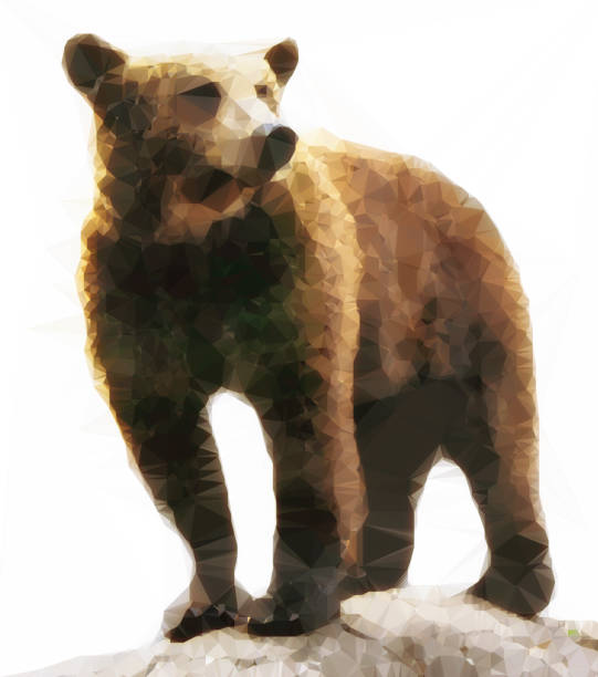 istock abstract brown grizzly bear polygonal style picture 677838388