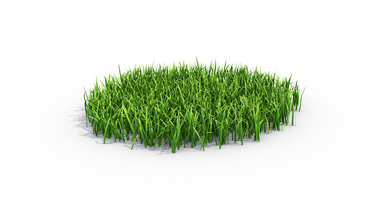 Grass patch isolated on white background