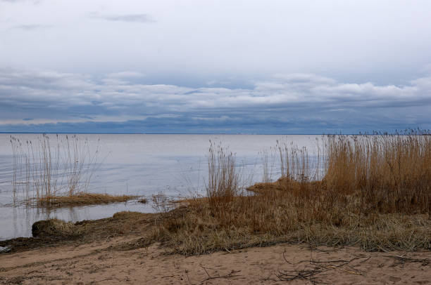istock The Gulf of Finland 677846178
