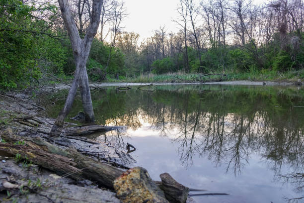 istock Wild untouched lake shore in the evening in the spring 677866146