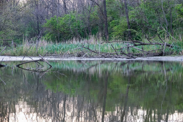 istock Wild untouched lake shore in the evening in the spring 677868312