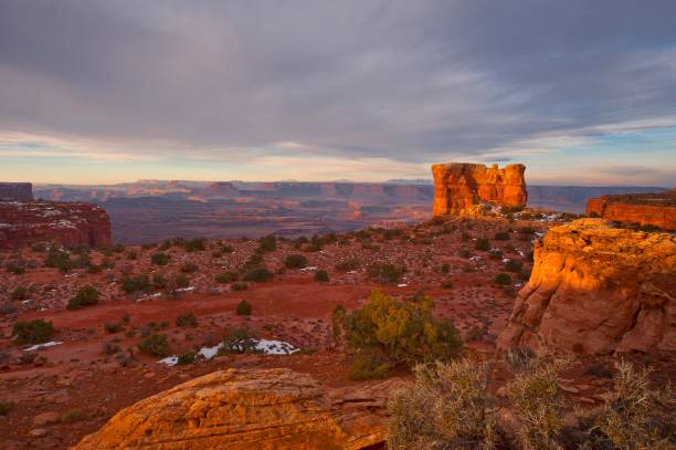 istock Canyonlands National Park 677869156