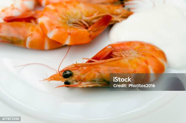 Shrimps Mayonnaise Stock Photo - Download Image Now - Appetizer, Boiled, Close-up