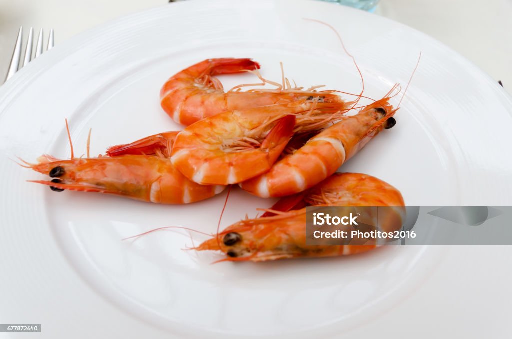 Shrimps plate A plate with five shrimps ready to be eaten Appetizer Stock Photo