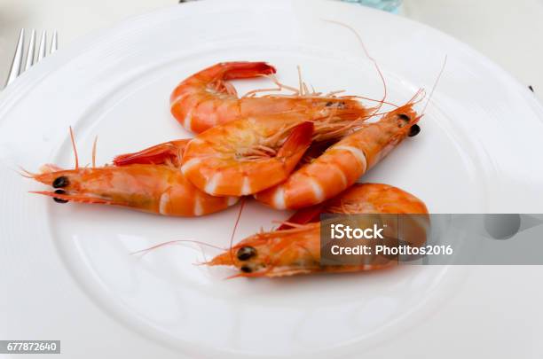 Shrimps Plate Stock Photo - Download Image Now - Appetizer, Boiled, Close-up