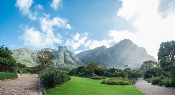 istock Cape town botanic garden 677873930
